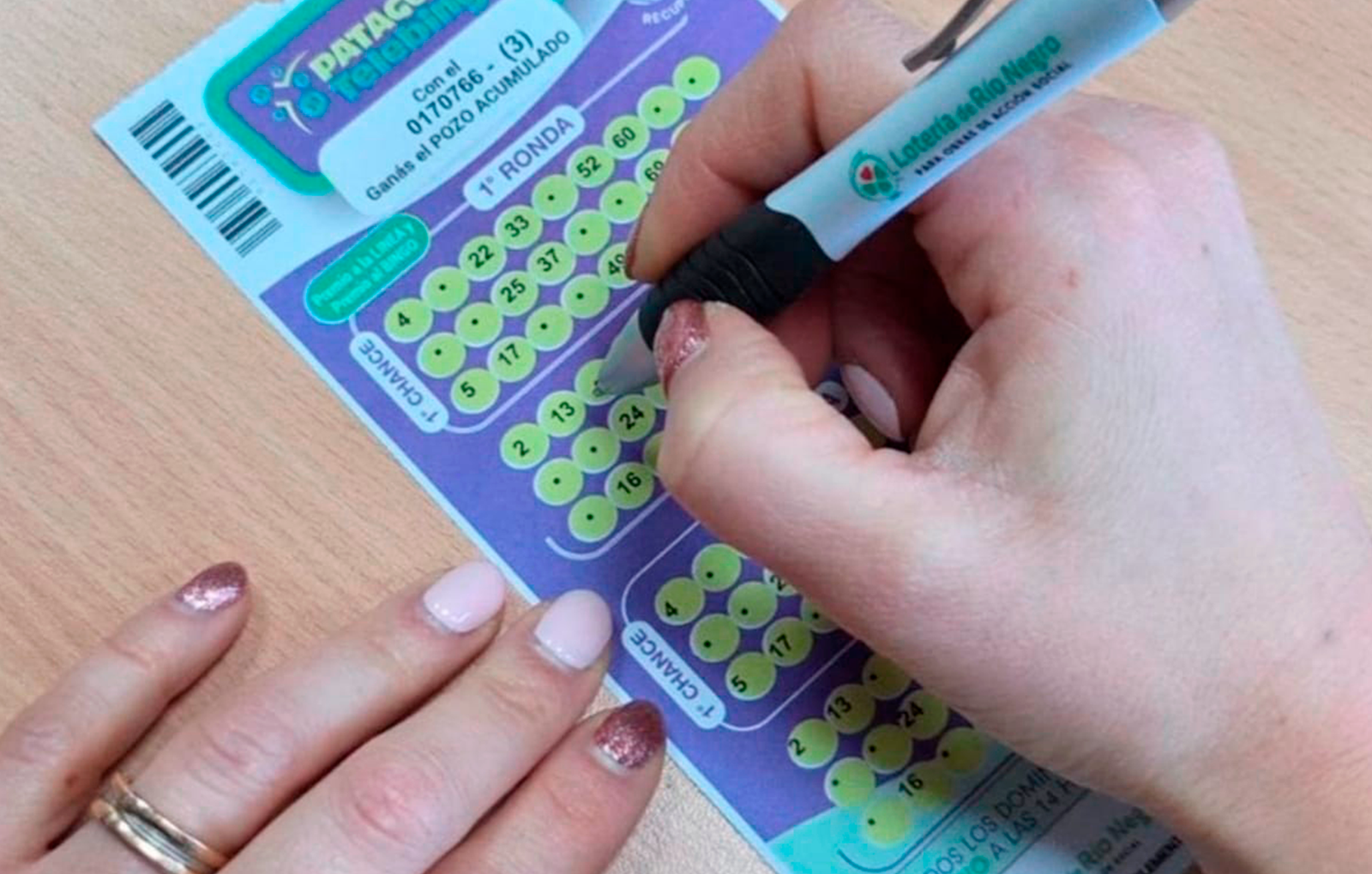 Patagonia Telebingo & Patagonia Minibingo - Administración integral del juego